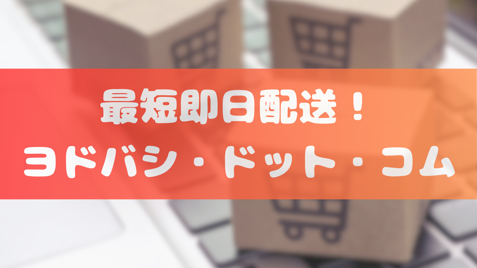ヨドバシサムネ